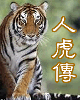 ˻