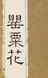 罂粟花