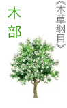 《本草纲目·木部》